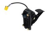 pedal-gazu-4-62209