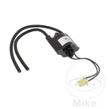 cewka-zaplonowa-ign-308