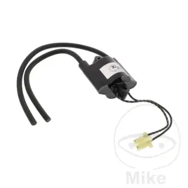 cewka-zaplonowa-ign-308