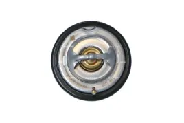 termostat-srodka-chlodzacego-725068