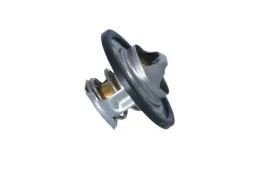 termostat-srodka-chlodzacego-725089