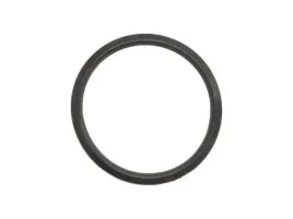 uszczelka-termostatu-308-040