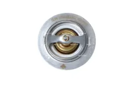 termostat-srodka-chlodzacego-725181