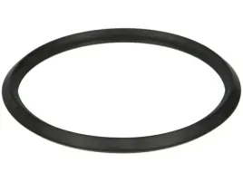uszczelka-termostatu-495-980