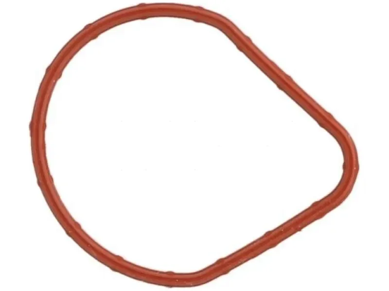 uszczelka-termostatu-01167500