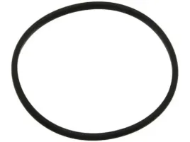 uszczelka-termostatu-11834