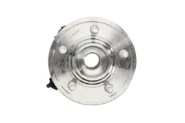 piasta-kola-515050