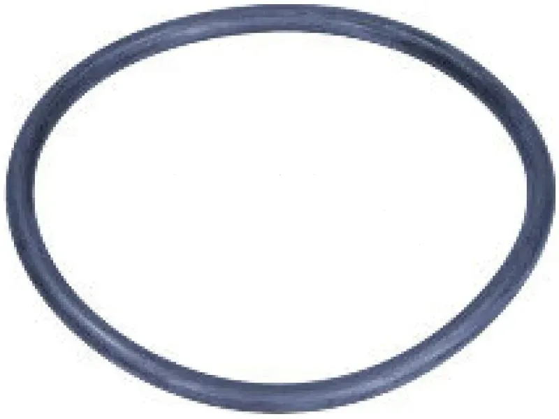 uszczelka-termostatu-17964