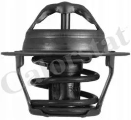 termostat-srodka-chlodzacego-th4898-92j