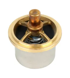 termostat-srodka-chlodzacego-6-30309