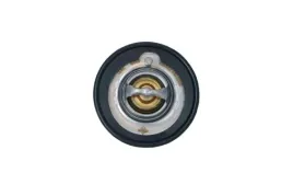 termostat-srodka-chlodzacego-725152