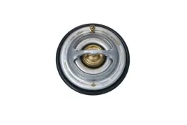 termostat-srodka-chlodzacego-725075