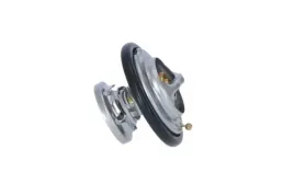 termostat-srodka-chlodzacego-725074