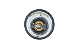 termostat-srodka-chlodzacego-725118