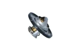 termostat-srodka-chlodzacego-725156