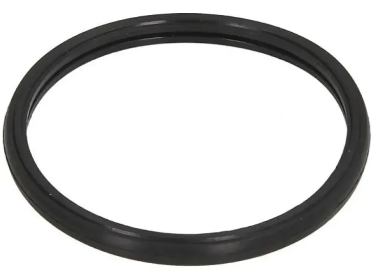uszczelka-termostatu-460-790