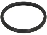 uszczelka-termostatu-460-790
