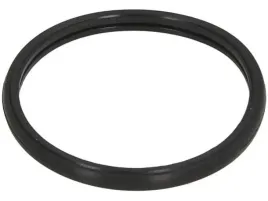 uszczelka-termostatu-460-790