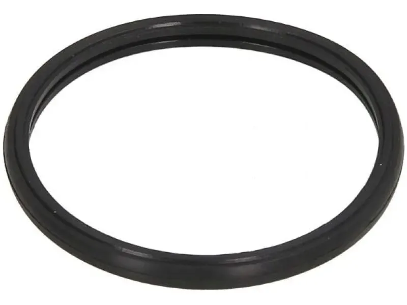 uszczelka-termostatu-460-790