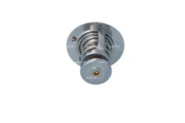 termostat-srodka-chlodzacego-725119