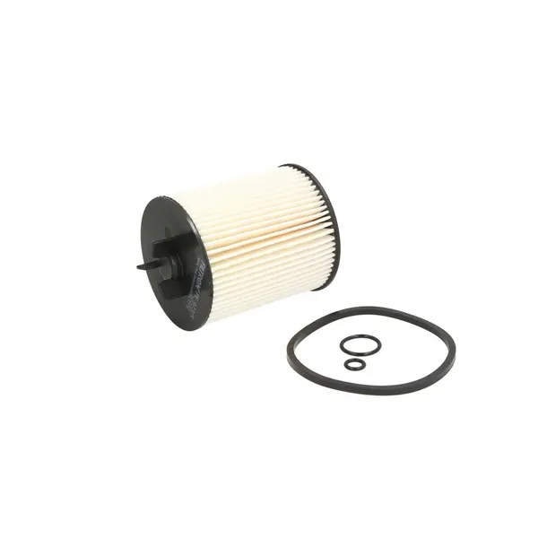 filtr-paliwa-pe-973-5-numery-katalogowe-zamiennikow-ashika-30-eco076-ashika-fce-076jm-delphi-hdf569-diamax-df3291-dr-ve-dp1110-13-0172-hoffer-4822-japanparts-fce-076jm-japanparts-fc-eco076-japko-3eco076-japko-fce-076jm-jc-premium-b3a026pr-knecht-kx-86-1d-master-sport-germany-819-3x-kf-pcs-ms-maxgear-26-1377-meat-and-doria-4822-motrio-8550501463-open-parts-eff5146-10-purflux-c810-tecneco-filters-gs0819-3e-ufi-26-023-00