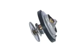 termostat-srodka-chlodzacego-725215