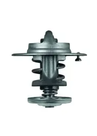 termostat-srodka-chlodzacego-tx-80-83