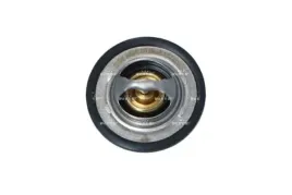 termostat-srodka-chlodzacego-725150