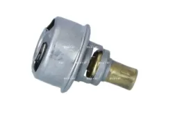 termostat-srodka-chlodzacego-725007
