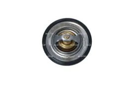 termostat-srodka-chlodzacego-725154