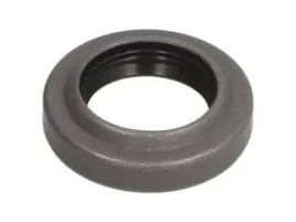 uszczelniacz-polosi-walu-napedowego-12019323b