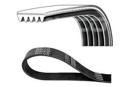 pasek-wieloklinowy-5pk884