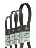 pasek-wieloklinowy-cb0036