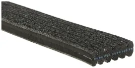 pasek-wieloklinowy-6dpk1195