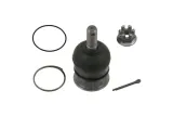 sworzen-wahacza-42422-numery-katalogowe-zamiennikow-ackoja-a32-1186-alte-automotive-93075al-comline-cbj7136-ctr-cb0289-first-line-fbj5565-gsp-s080645-kavo-parts-sbj-4523-lynxauto-c1183lr-maxgear-72-1889-maxgear-72-1890-maxgear-72-2358-nipparts-j4883004-nipparts-j4923002-plyom-p755057-quaro-qs9826-hq-ridex-2462s0182-skf-vkds-814005-stellox-52-71012a-sx-stellox-52-71012-sx-zentparts-z36970