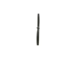 pasek-wieloklinowy-1-987-947-884