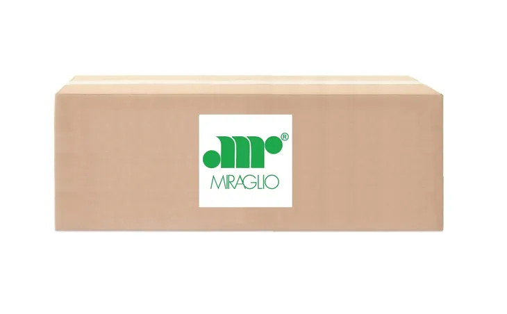zamek-pokrywy-silnika-eic37196-producent-czesci-miraglio