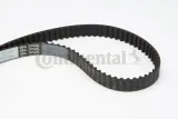 pasek-rozrzadu-ct1203-producent-czesci-contitech-continental