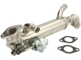 modul-egr-48313