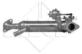 modul-egr-48313-wersja-europejska
