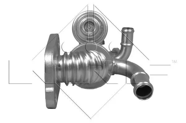modul-egr-48313-stan-nowy-producent-czesci-nrf