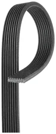 pasek-wieloklinowy-8dpk1445