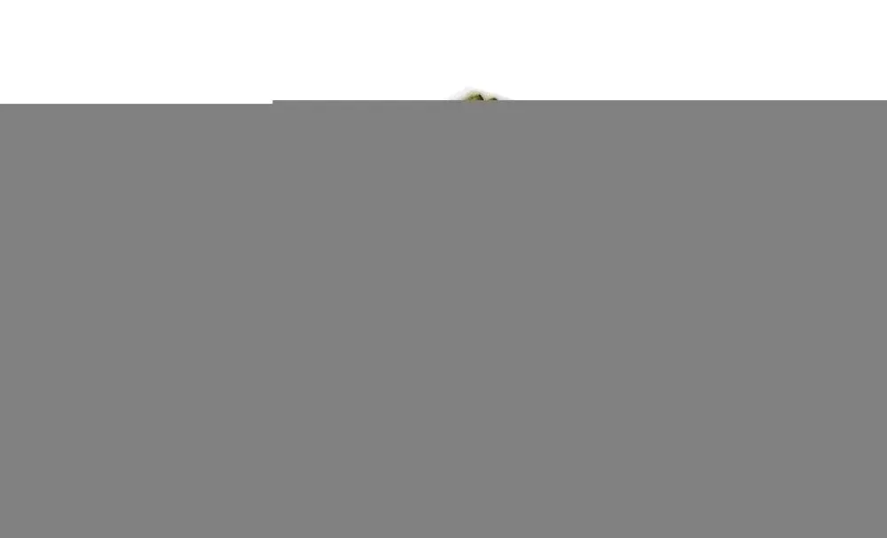 filtr-kabiny-fp-26-005-stan-nowy