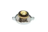 korek-chlodnicy-rc0049-numer-katalogowy-oryginalu-citroen-95640325-dodge-5103533aa-mercedes-benz-0005016215-mercedes-benz-a0005016215-peugeot-95640325-rover-157271eva
