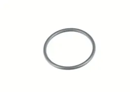 uszczelka-oring-termostatu-bmw-7-g12-x3-g01-x4-g02