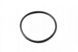 oring-uszczelka-filtra-skrzyni-biegow-0b5-oryginal-wht005499a