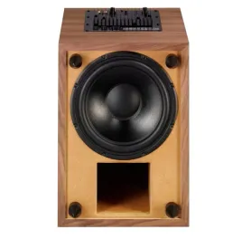 aktywny-subwoofer-kina-domowego-acoustique-quality-wega54-glosnik-peerless