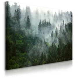obraz-do-sypialni-salonu-las-we-mgle-gory-natura-krajobraz-na-sciane-120x80