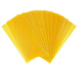 weza-pszczela-warszawska-poszerzana-10-plastrow