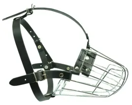 kaganiec-metalowy-dino